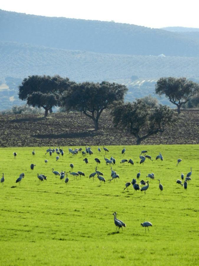 Casas Do Ardila ξενώνας Santo Amador Εξωτερικό φωτογραφία